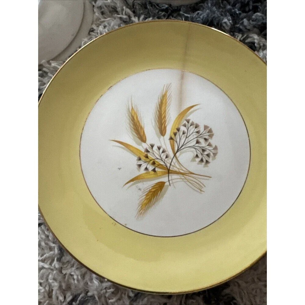 20 Piece Century Service Corp Autumn Gold Dinner Plate Plates and Bowls